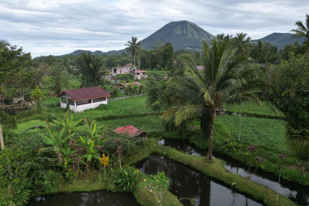 Photo of Others in Tomohon