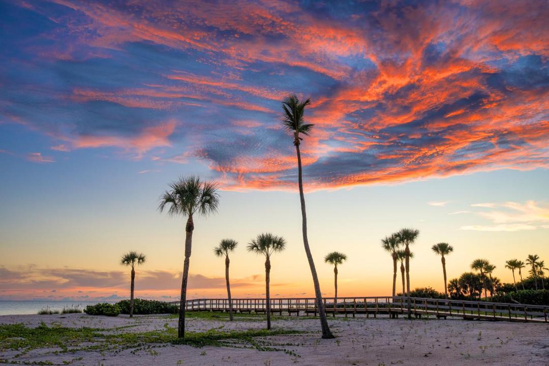 Photo of Others in Sanibel