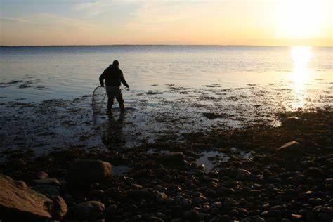 Photo of Human In Picture in Martofte