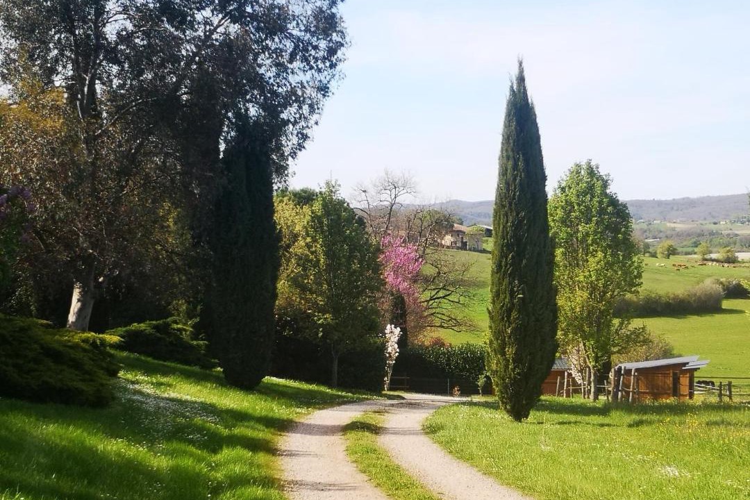Photo of Others in Castelnau-de-Montmiral