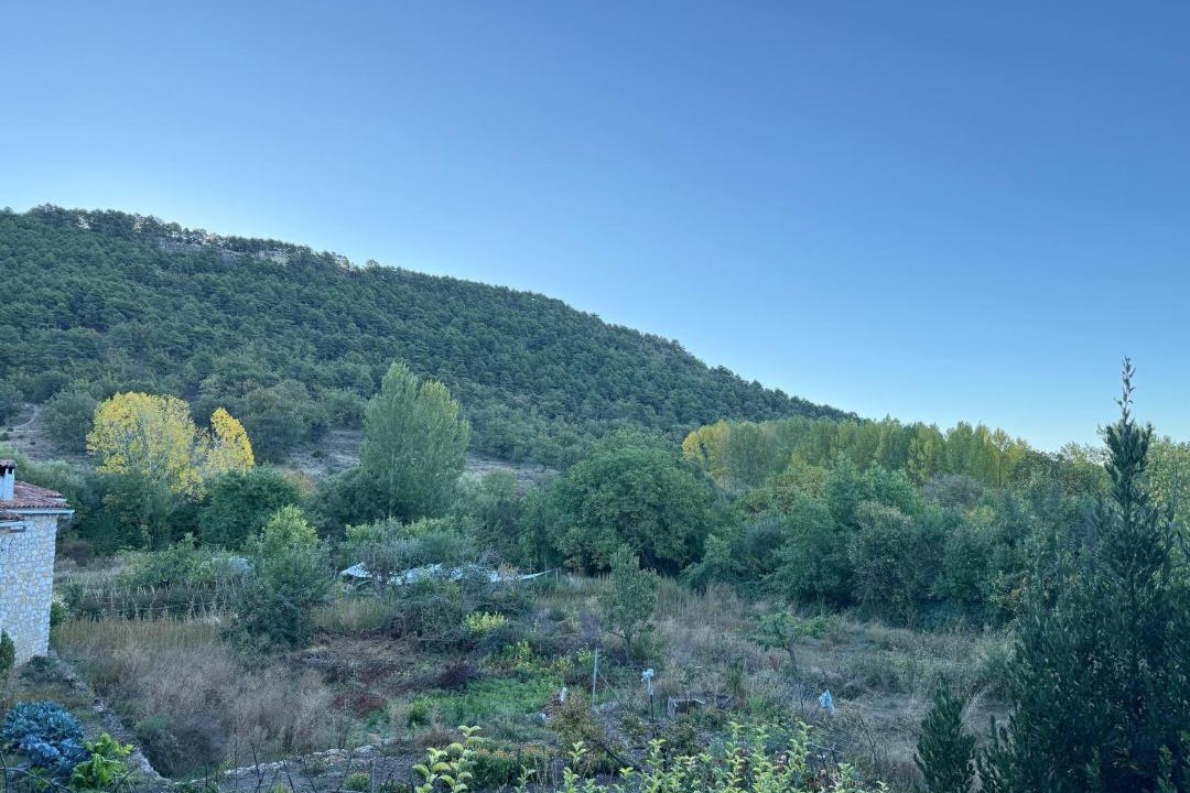 Photo of Others in Huerta del Marquesado