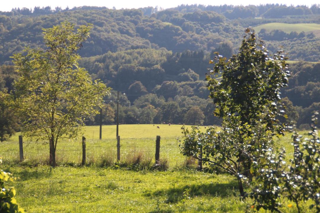 Photo of Others in Soudaine-Lavinadiere