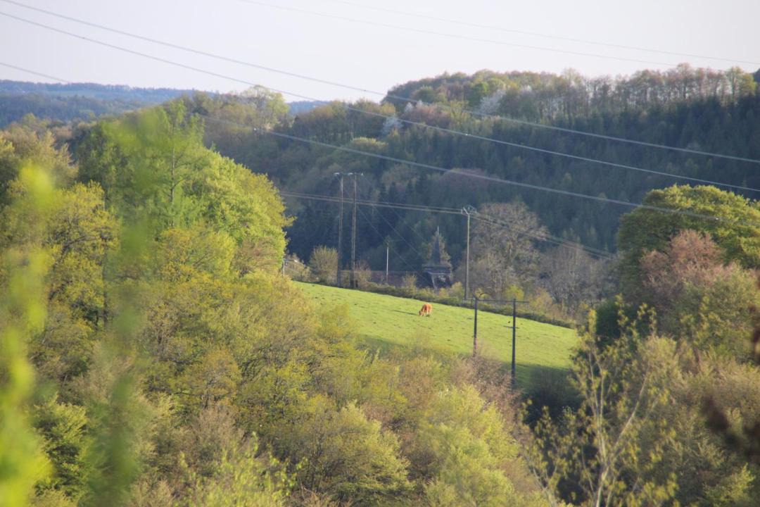 Photo of Others in Soudaine-Lavinadiere