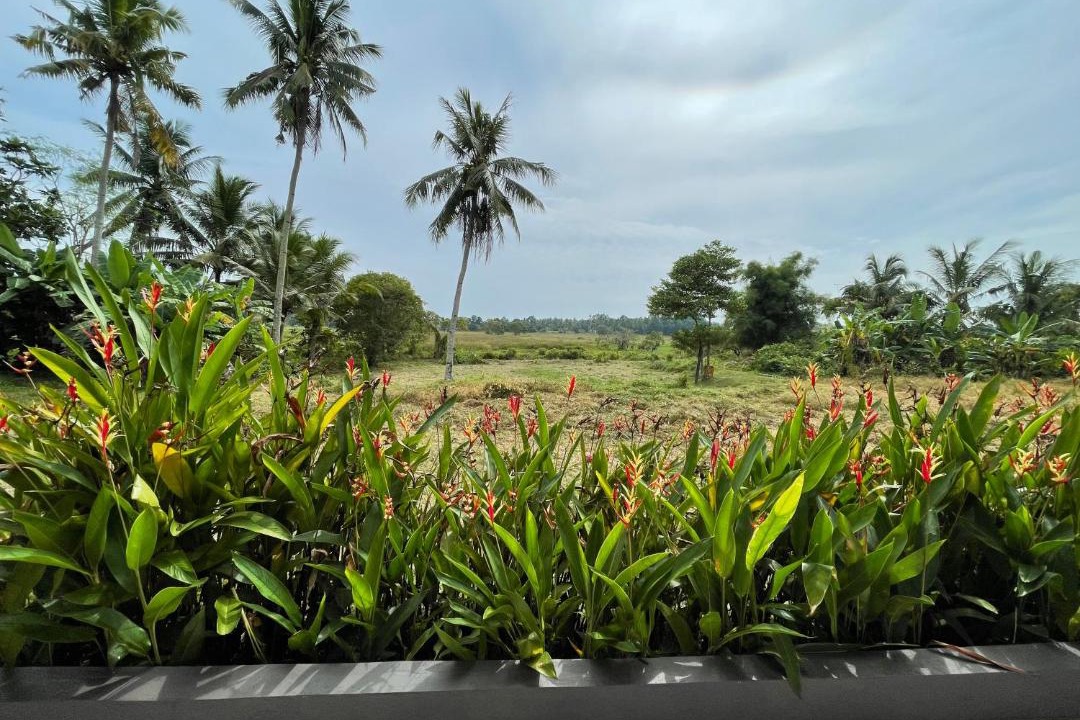Photo of Others in Kampung Telaga Bata