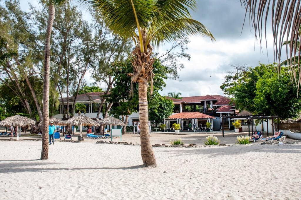 Photo of Others in Reparto Ibarra