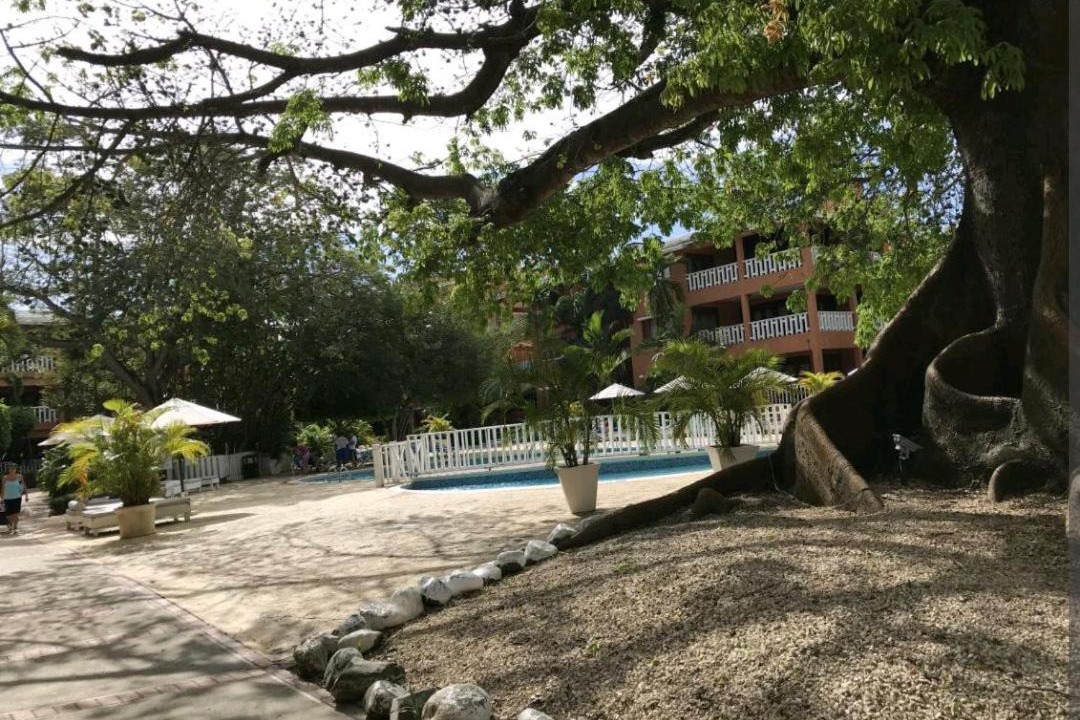 Photo of Others in Reparto Ibarra