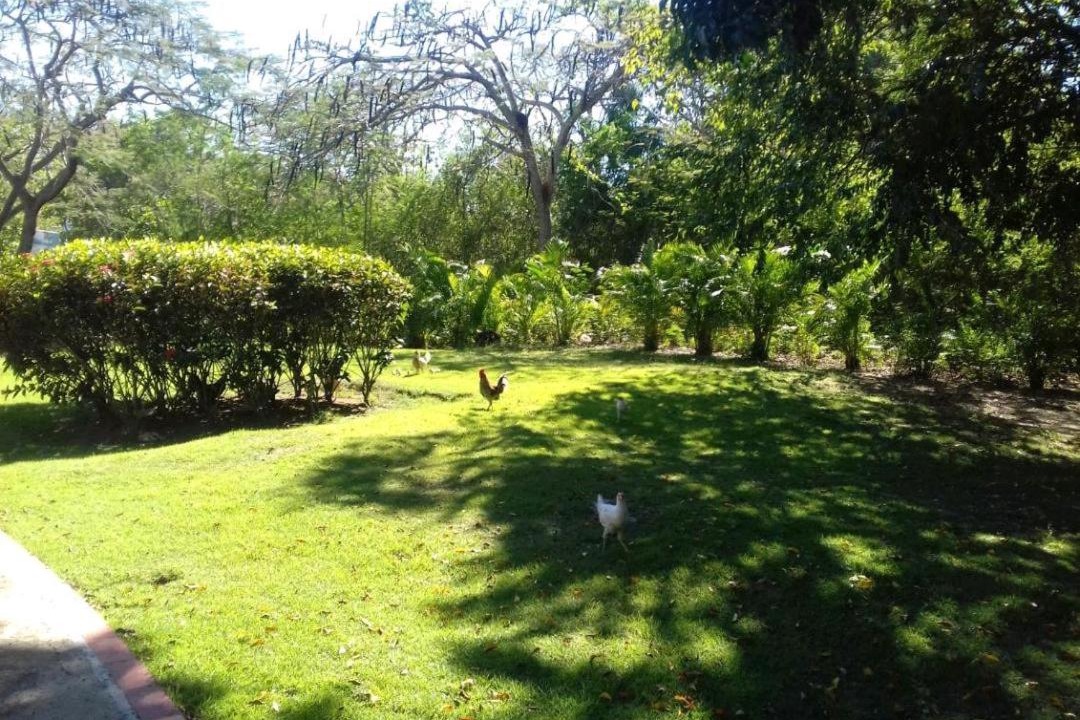 Photo of Others in Reparto Ibarra