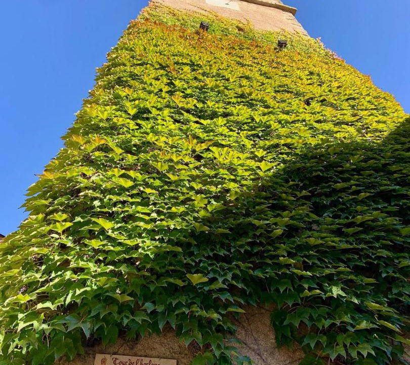 Photo of Others in La Roquebrussanne