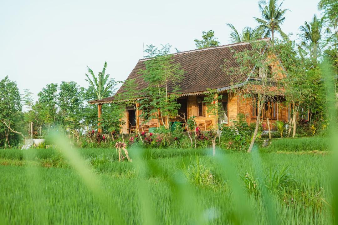 Photo of Others in Sidemen