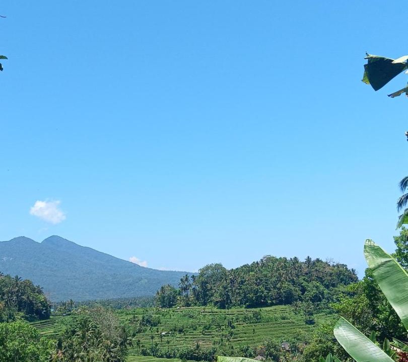 Photo of Others in Ababi