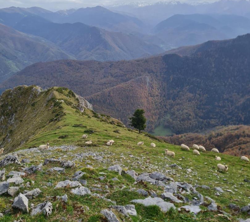 Photo of Others in Lombres