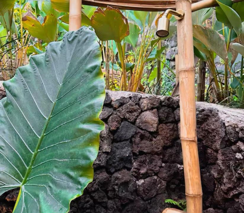 Photo of Others in Singapadu Tengah