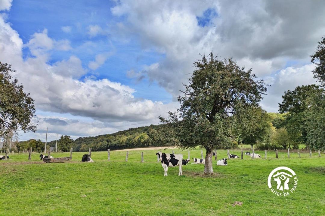 Photo of Others in Chantrigne