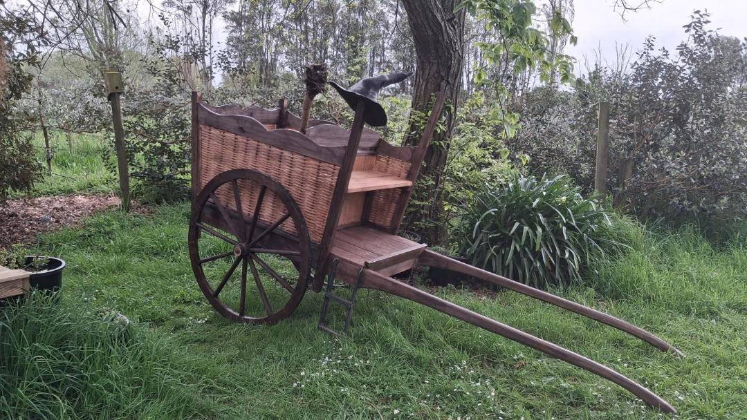 Photo of Others in Pukemoremore