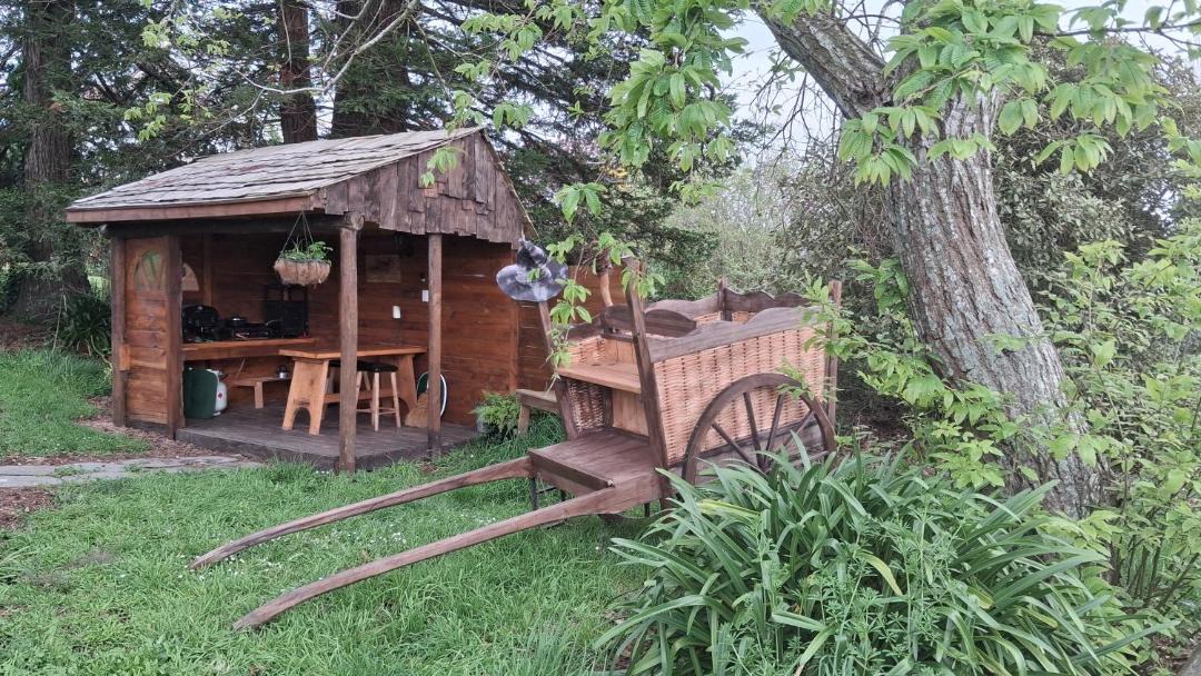 Photo of Others in Pukemoremore