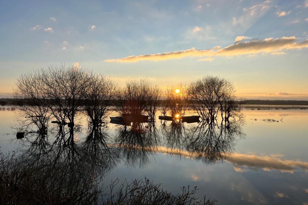 Photo of Others in Liesville-sur-Douve