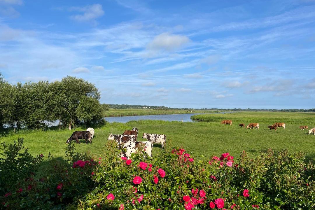Photo of Others in Liesville-sur-Douve