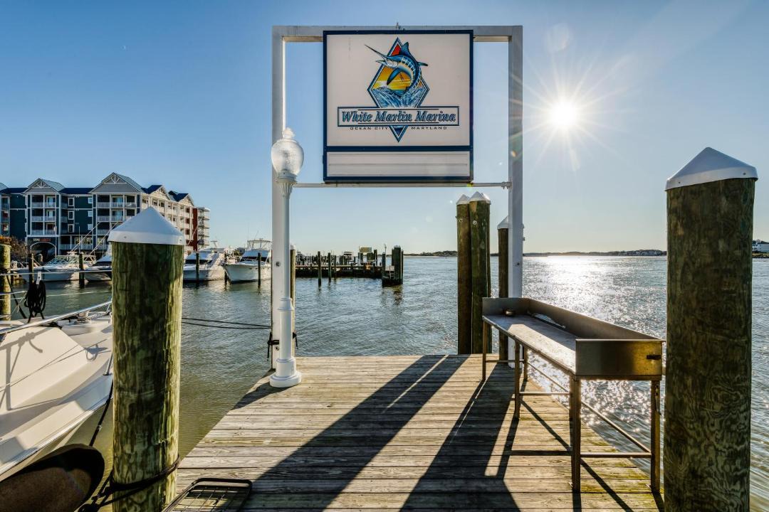 Photo of Others in Ocean City