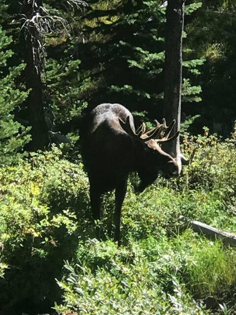 Photo of Others in Philipsburg