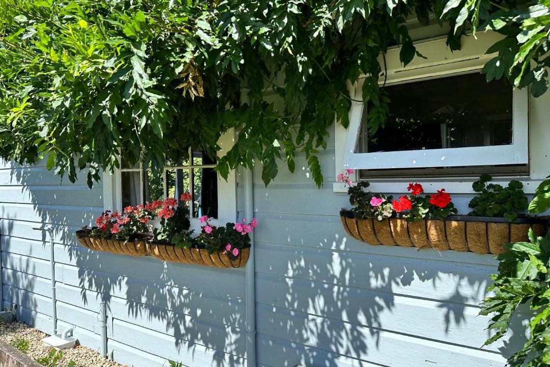 Photo of Others in Greytown