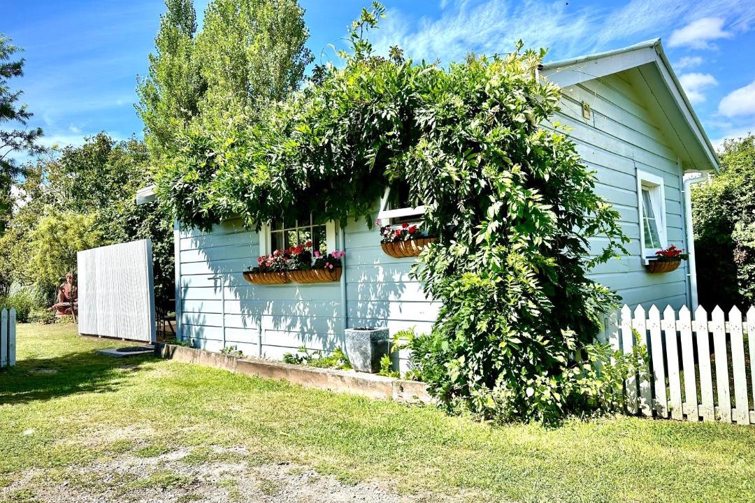 Photo of Others in Greytown