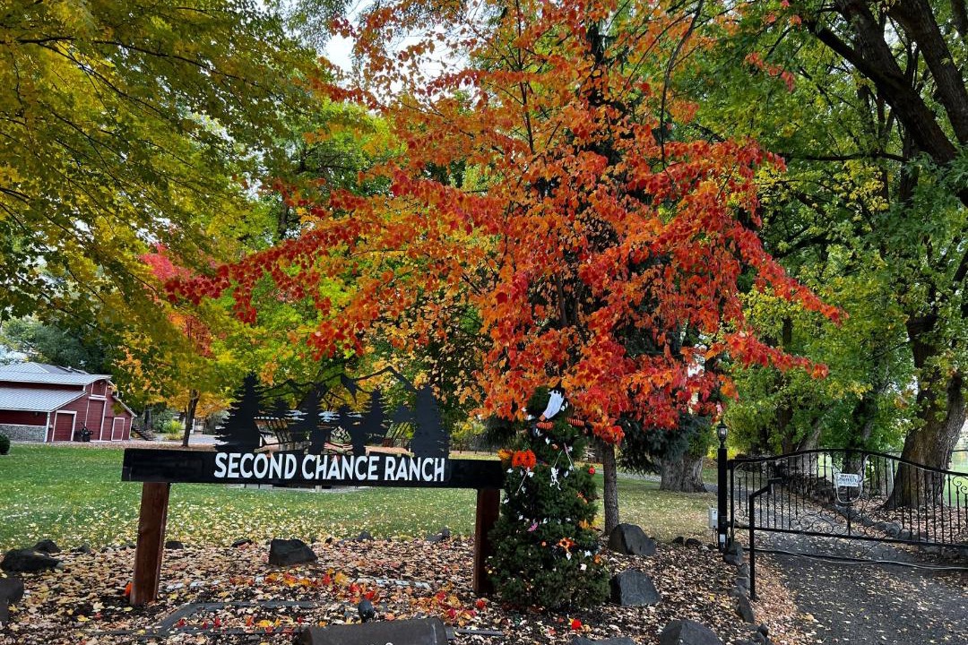 Photo of Others in Gleed