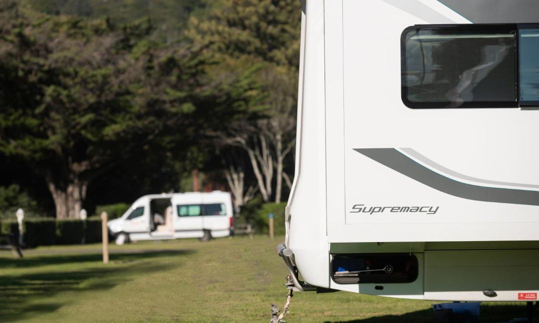 Photo of Outdoor in Tolaga Bay