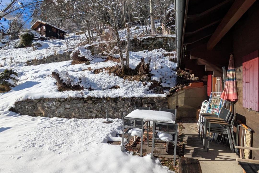 Photo of Others in Fiesch