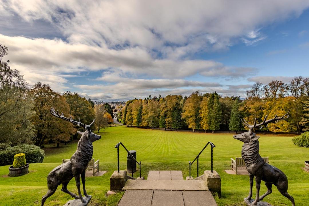 Photo of Others in Dunblane