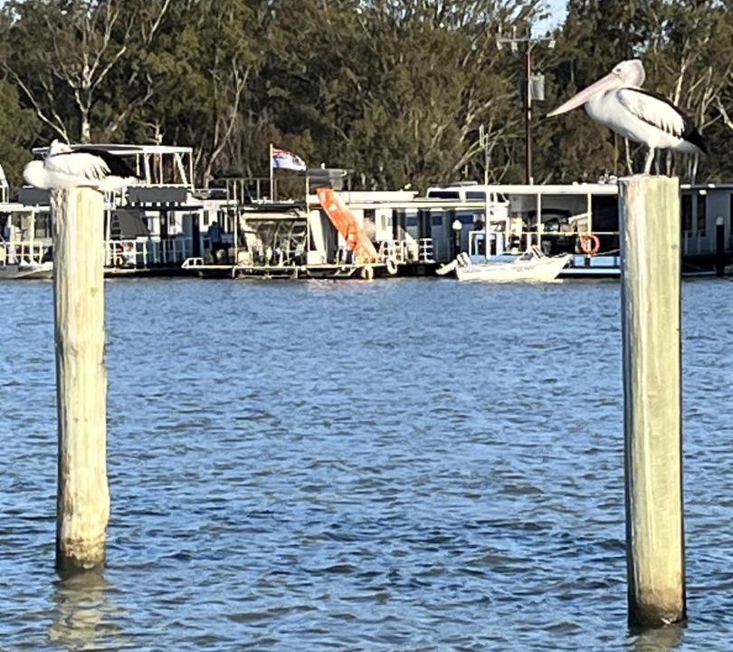 Photo of Others in Mannum