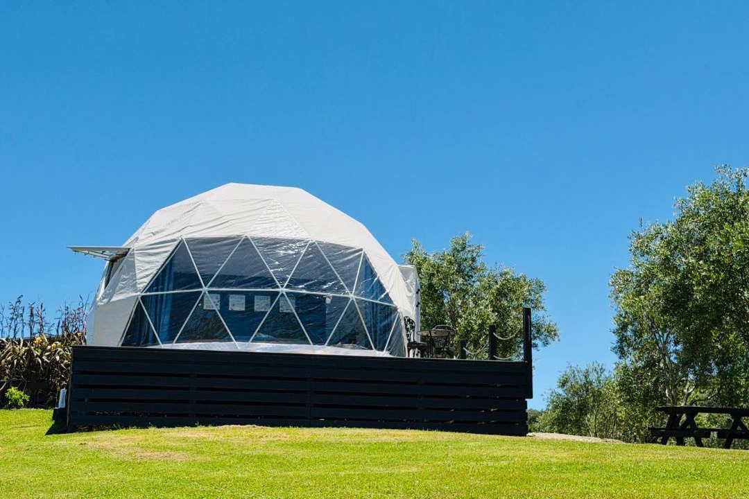 Photo of Others in Mangonui