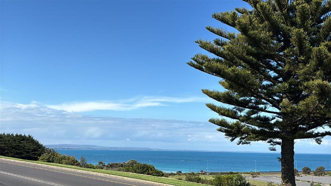 Photo of Others in Portland