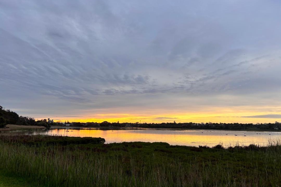Photo of Others in Portland