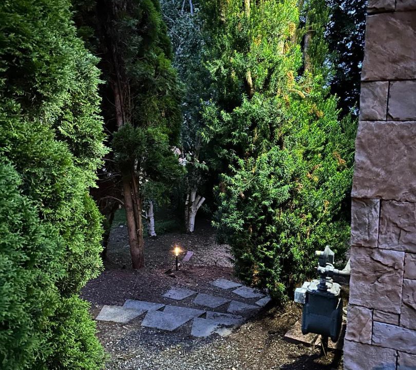 Photo of Others in Issaquah