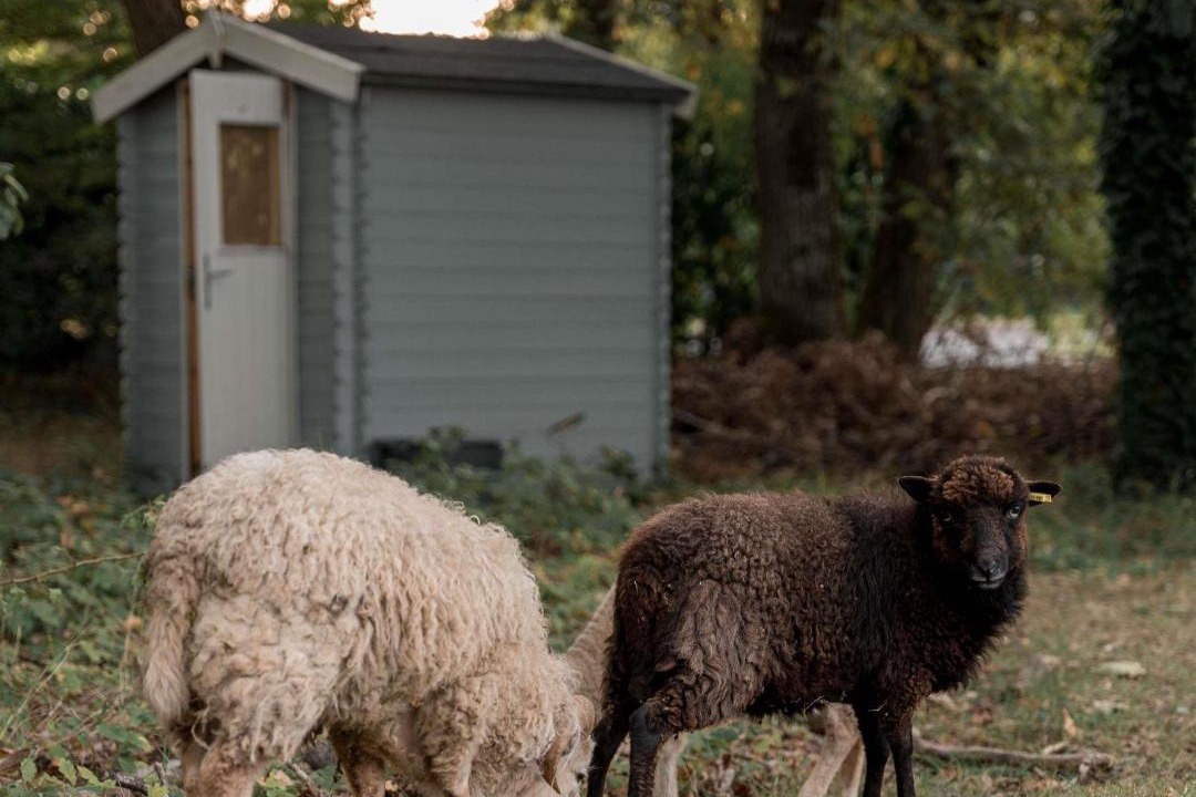 Photo of Others in La Source