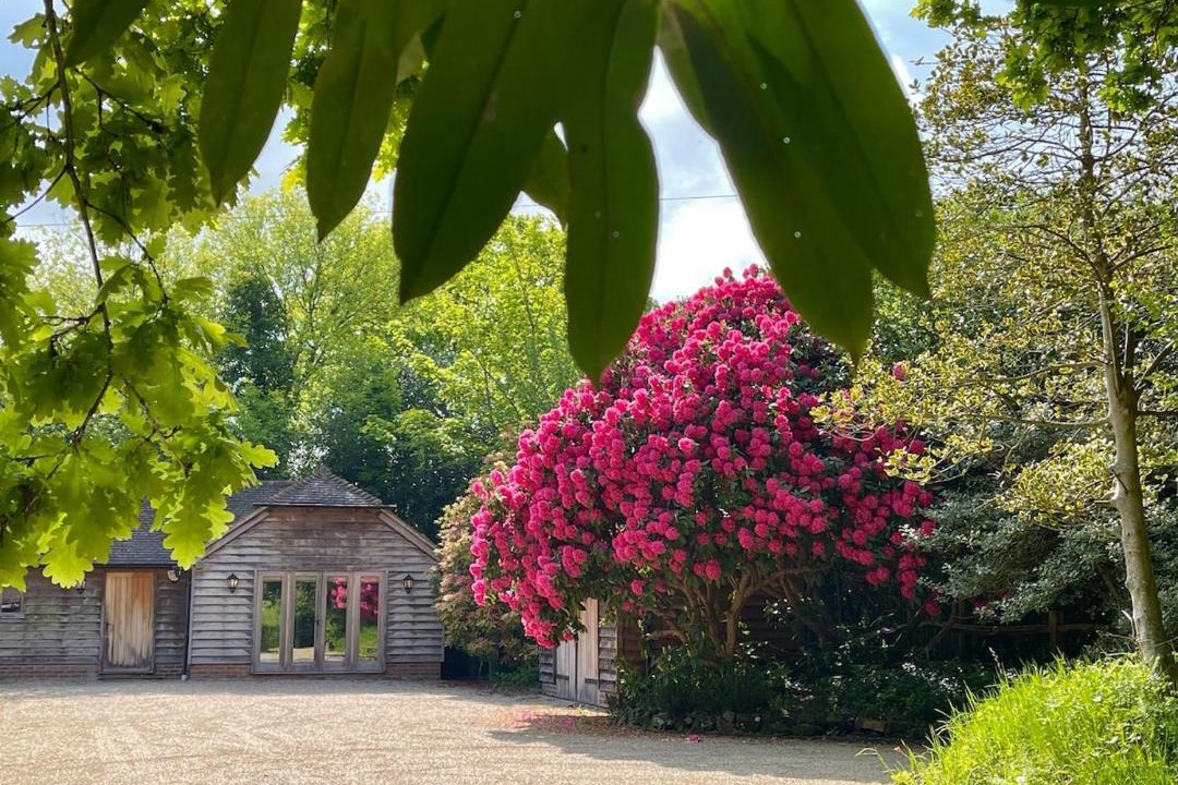 Photo of Others in Buxted