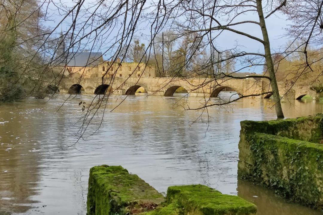 Photo of Others in Montfort-le-Gesnois