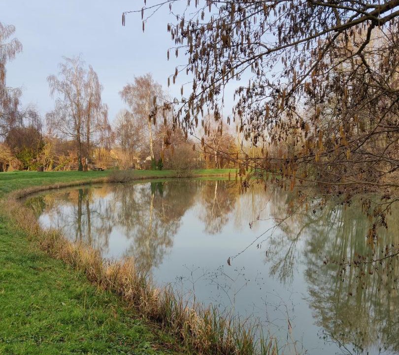 Photo of Others in Montfort-le-Gesnois