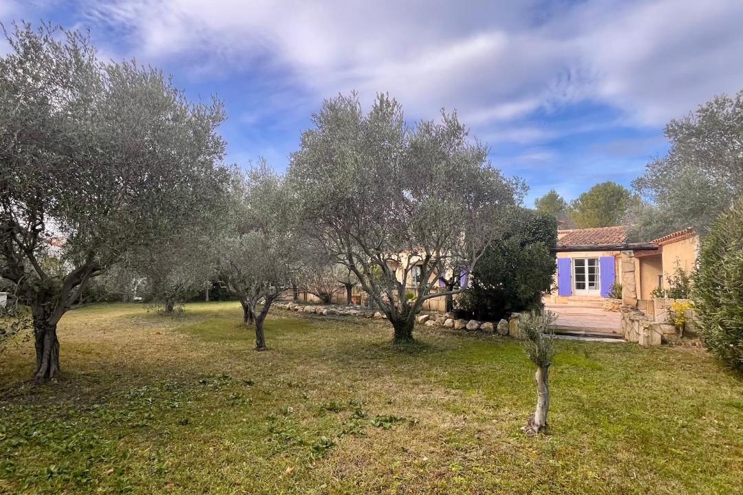 Photo of Others in Paradou