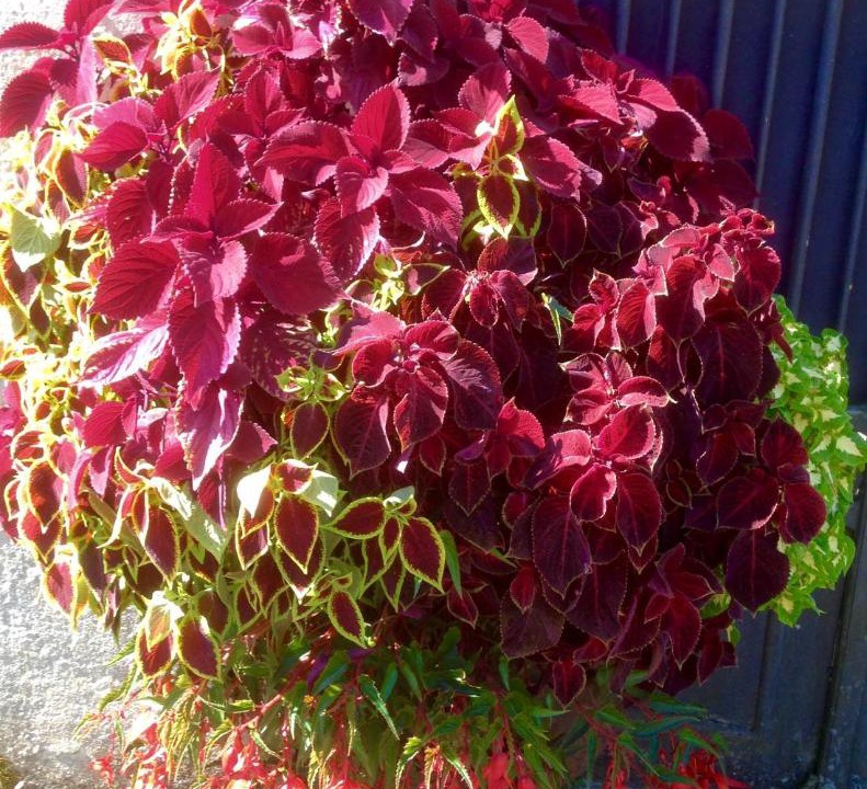 Photo of Outdoor in Rugney