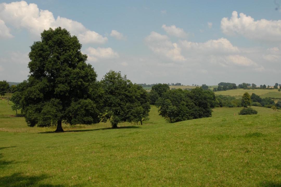 Photo of Others in Signy-lAbbaye