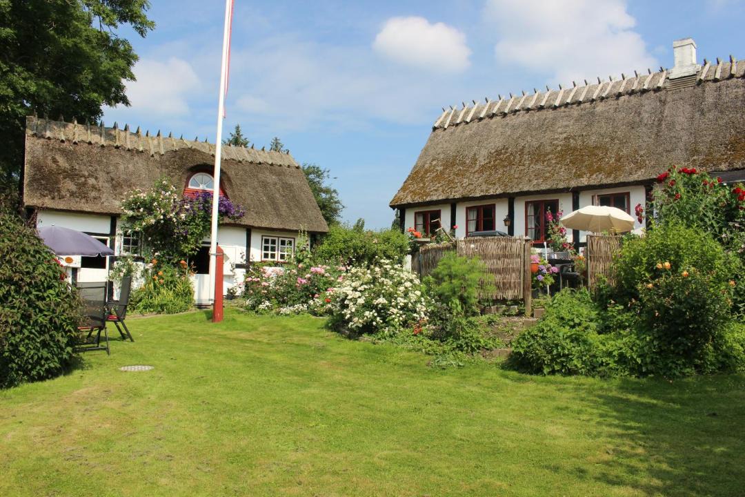 Photo of Others in Nyord