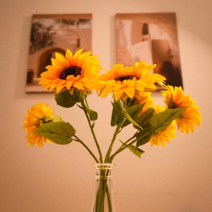 Photo of Others in Hull Old Town