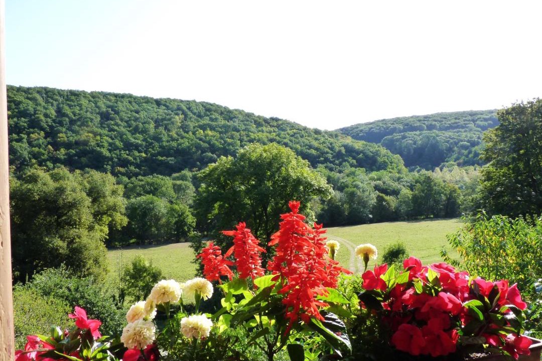 Photo of Others in Domecy-sur-Cure