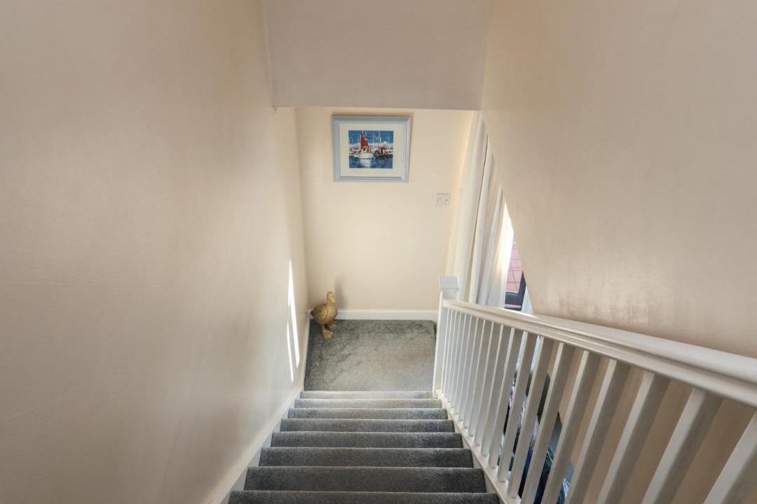 Photo of Others in Horning