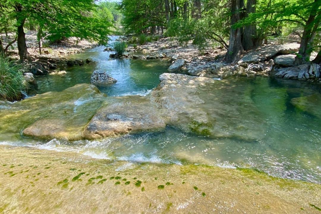 Photo of Others in Leakey