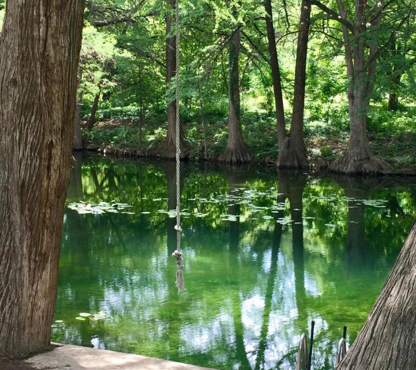 Photo of Others in Leakey