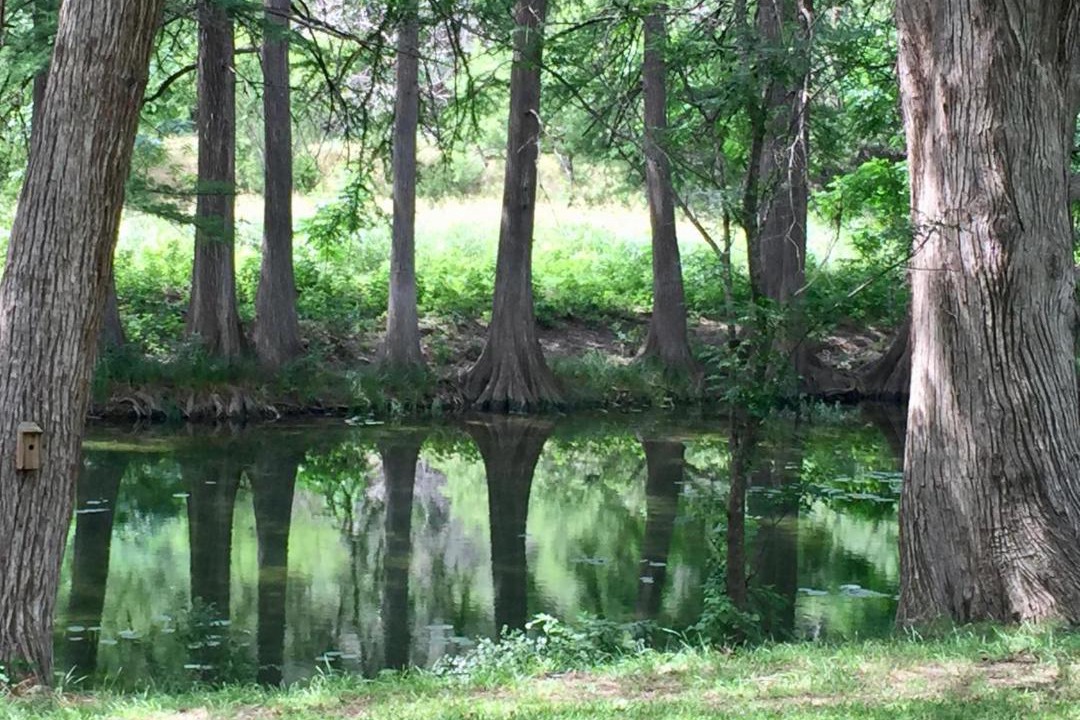 Photo of Others in Leakey
