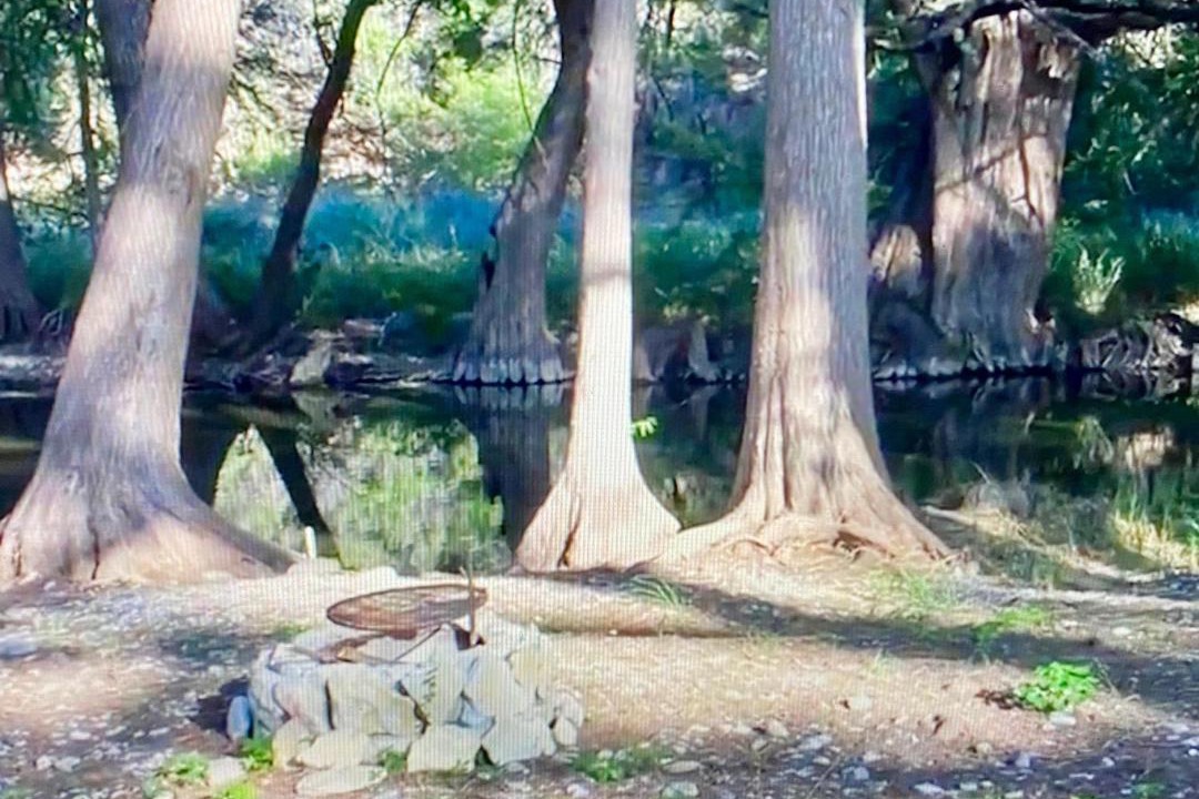 Photo of Others in Leakey