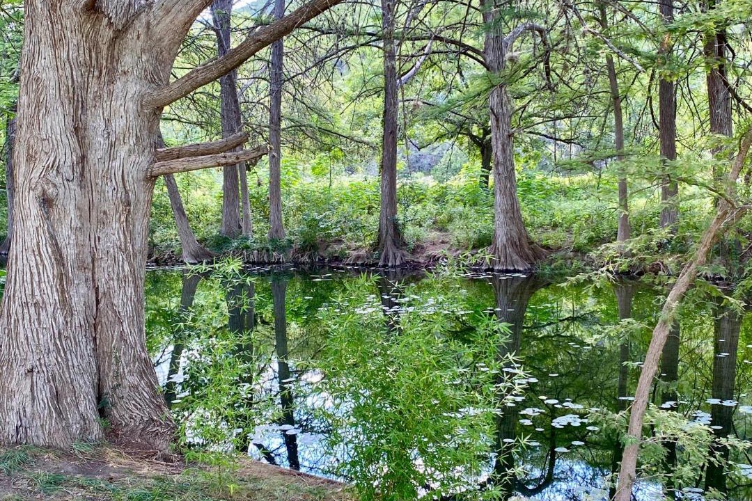 Photo of Others in Leakey